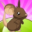 Souris Transformice !