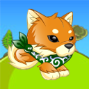 Shiba Inu