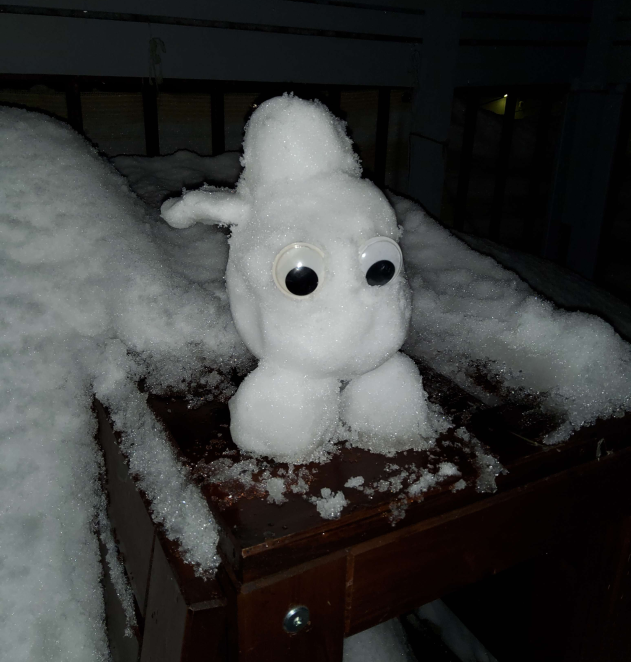 Touriste de neige