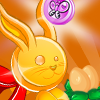 Chasse au Lapin