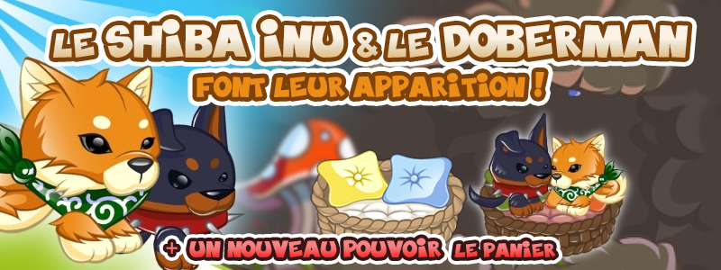 [NEWS] LES SKINS SHIBA INU ET DOBERMAN DÉBARQUENT ET INVESTISSENT LE PANIER !