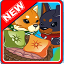 [NEWS] LES SKINS SHIBA INU ET DOBERMAN DÉBARQUENT ET INVESTISSENT LE PANIER !