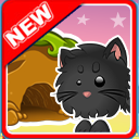 CACHEZ-VOUS DANS VOTRE TANIÈRE AVEC VOTRE PETIT CHAT !